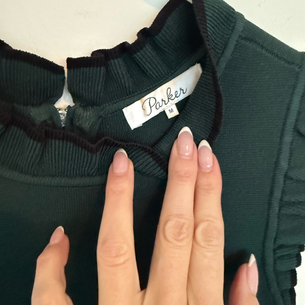 Parker Ryker Dress - Picture 6 of 10